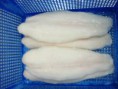 Pangasius /Panga