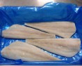 Alaska Pollock / Merluza do Alaska 